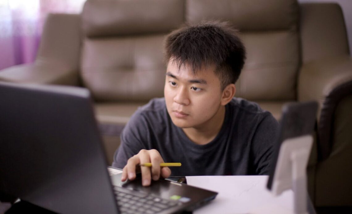 Young adult concentrates on laptop screen