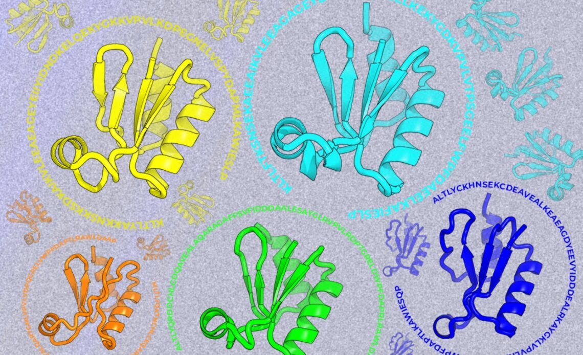 Looking beyond natural sequences | MIT News