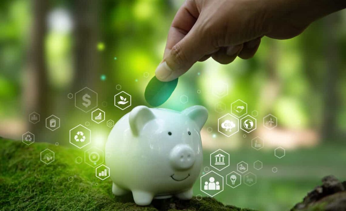 pig shows concept of sustainable investing