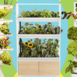 Best Indoor Garden Systems I’ve Been Testing All Year (2026)
