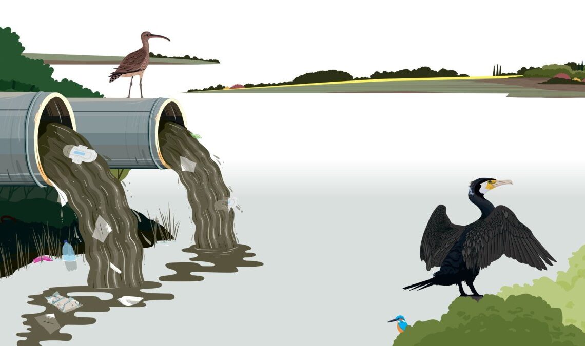 The House Opinion Article | The Choices Facing Burnham's Government On Water