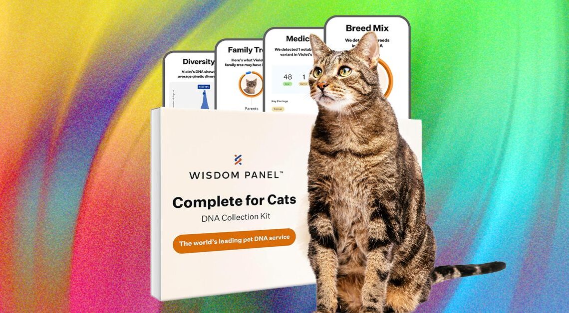 What’s the Best Pet DNA Test? We Tested the Most Popular Ones