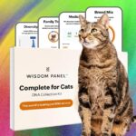 What’s the Best Pet DNA Test? We Tested the Most Popular Ones