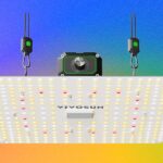 The Best LED Grow Lights for Houseplants This Winter (2026)