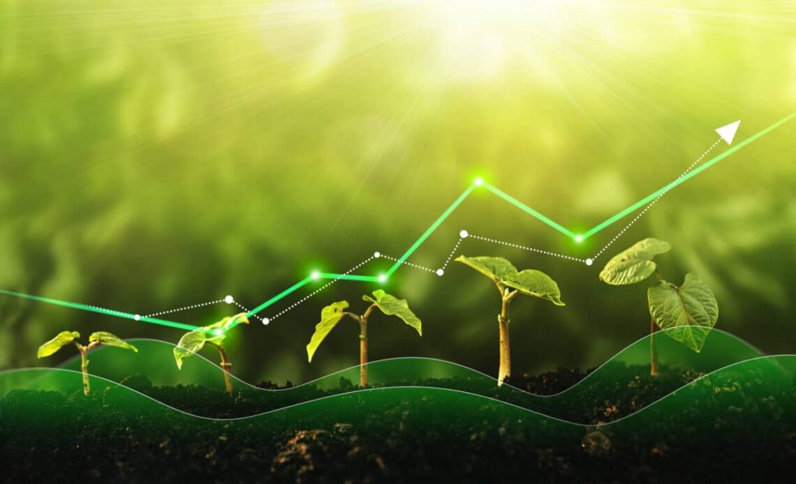 concept of growth