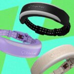 Tractive Cat 6 Mini Review: A Fitbit for Your Cat